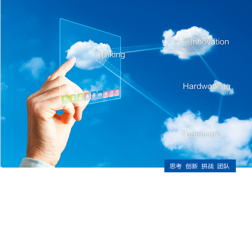 公司更名为瑞霆贸易（上海）有限公司，并成立广州、沈阳、重庆办事处